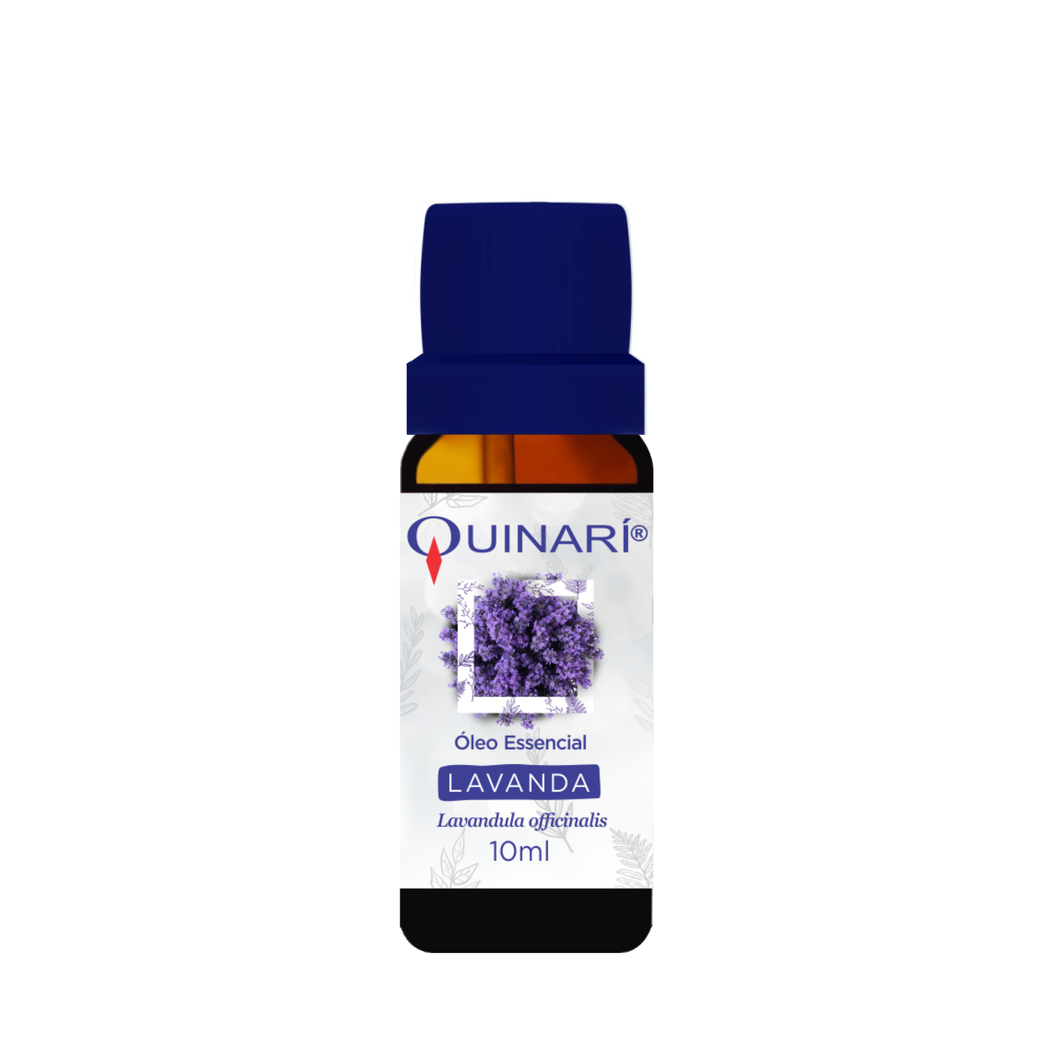 LAVANDA