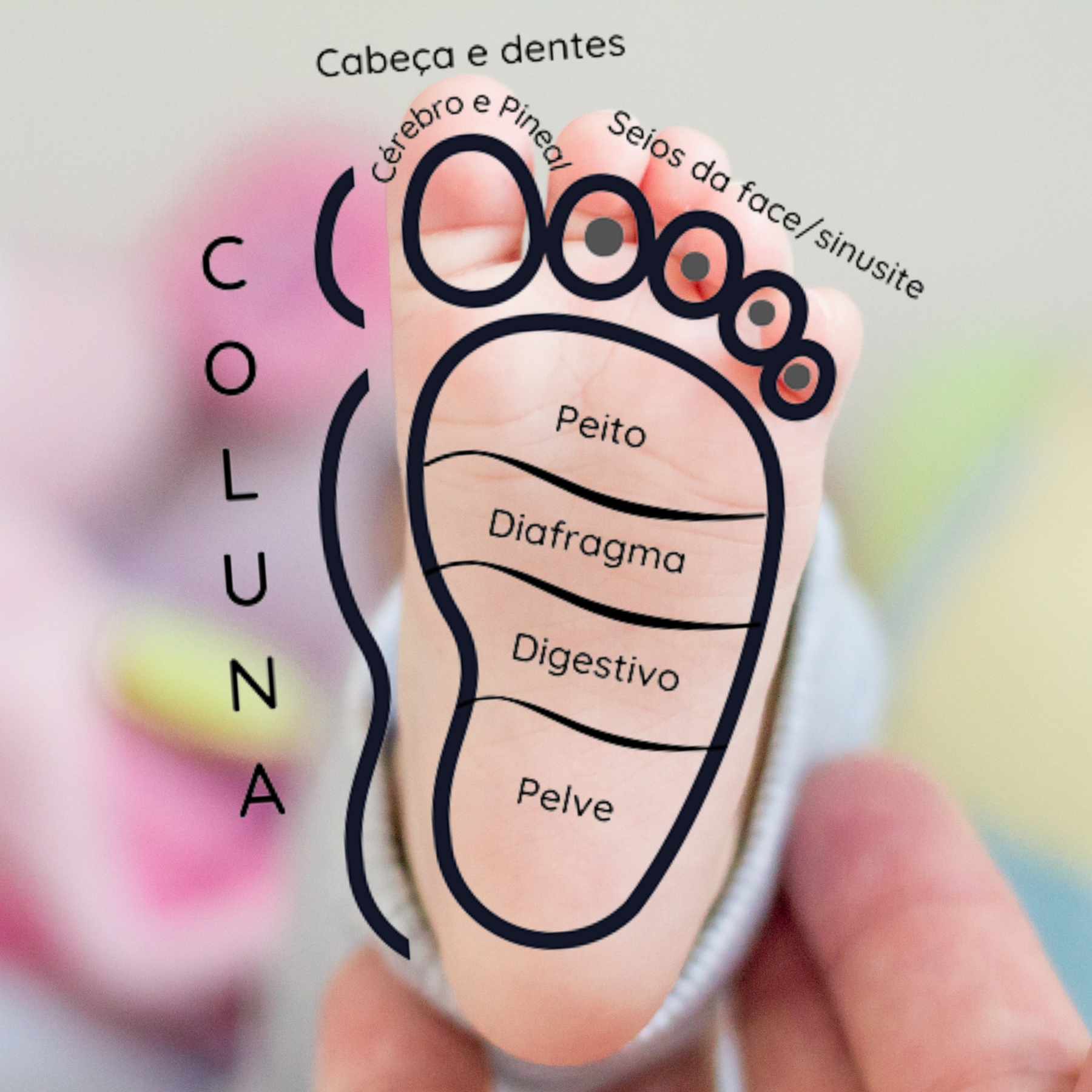 FOTOS PRODUTOS (5)